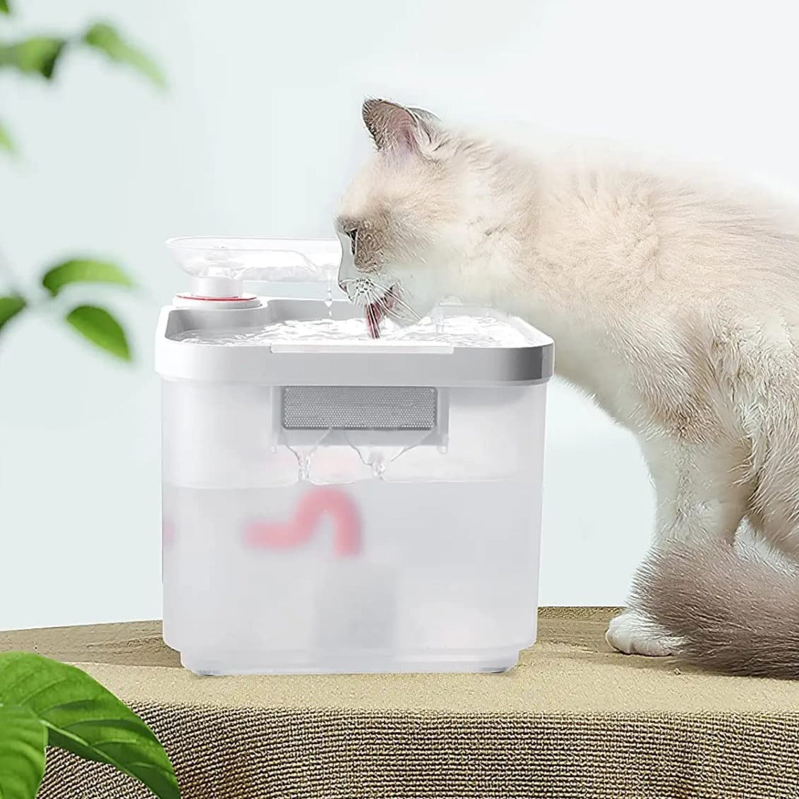 STYLA - Fontaine à eau automatique 2.5L avec technologie de filtration brevetée