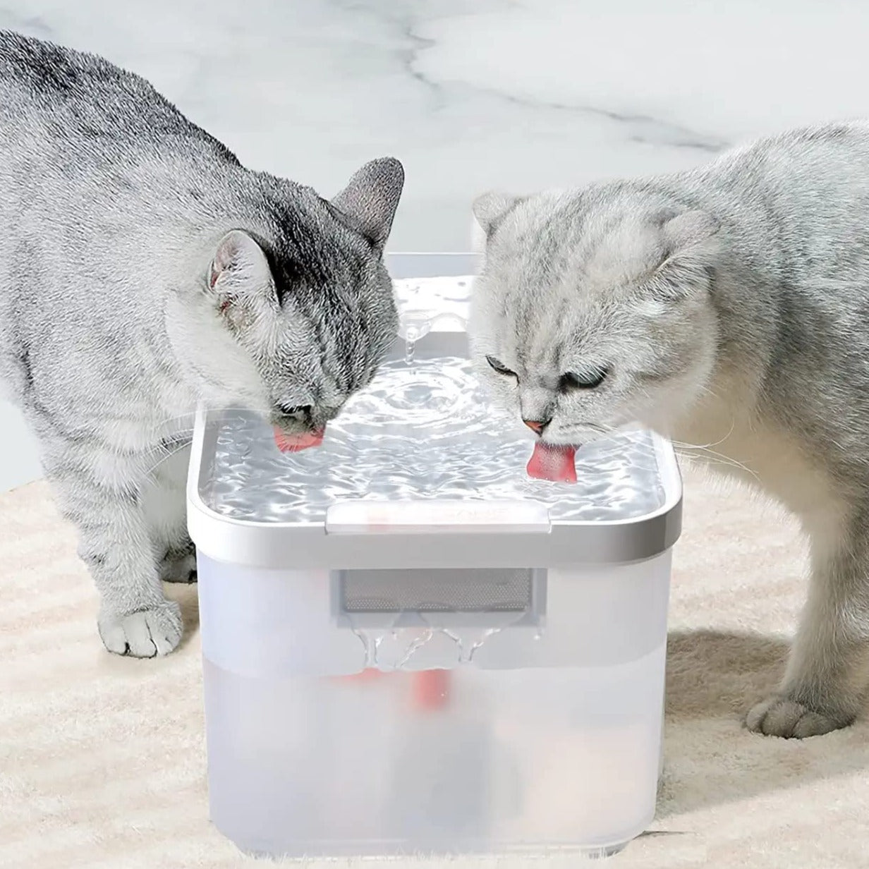 STYLA - Fontaine à eau automatique 2.5L avec technologie de filtration brevetée