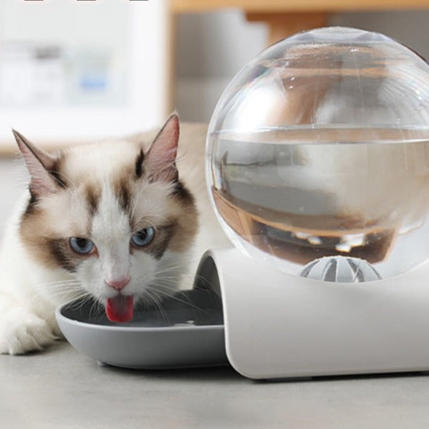 WATTY - Fontaine à Eau pour Chat "Bubble"