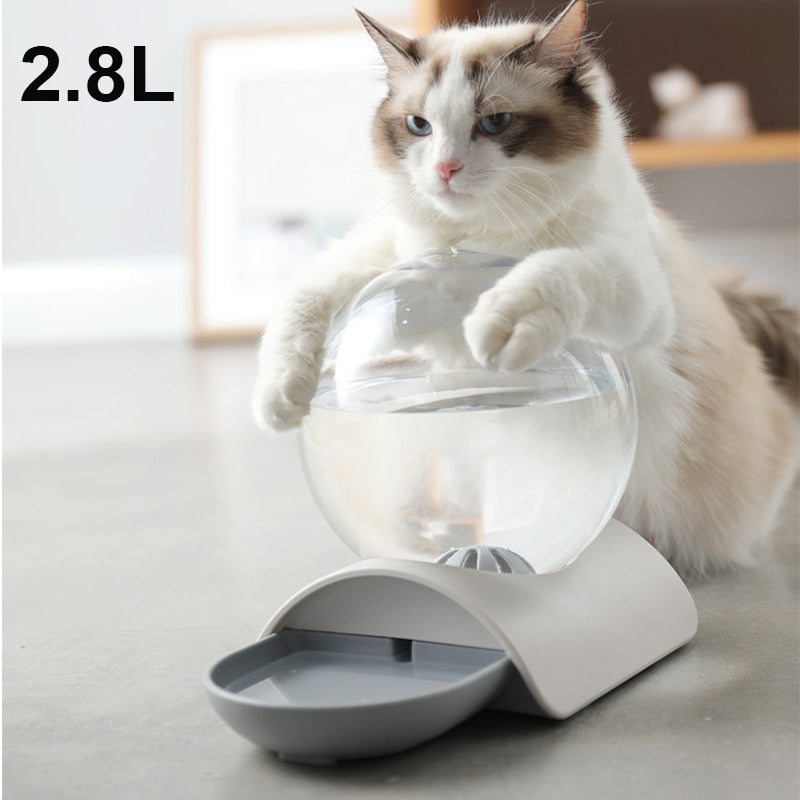 WATTY - Fontaine à Eau pour Chat "Bubble"