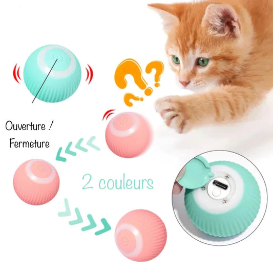 SMARTY - Balle Interactive pour Chat