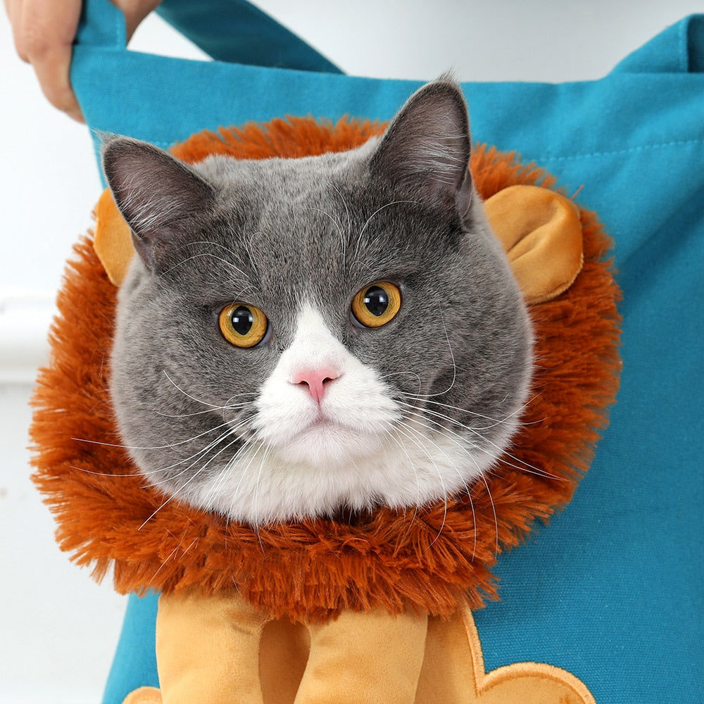 SOFTY - Sac de transport créatif avec tête de Lion pour chat