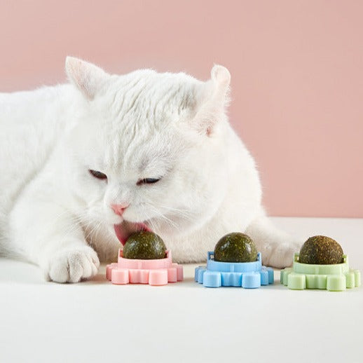 Jeux boule herbe à chat mural SENSE