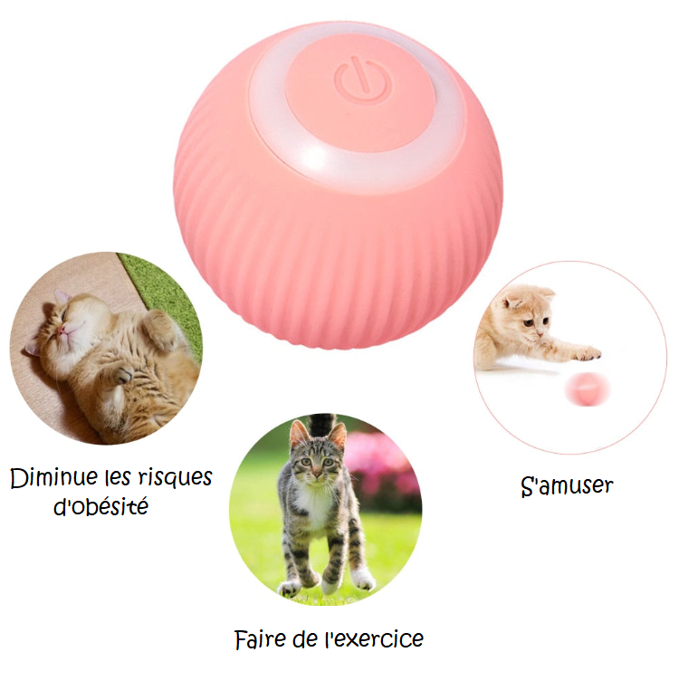 SMARTY - Balle Interactive pour Chat