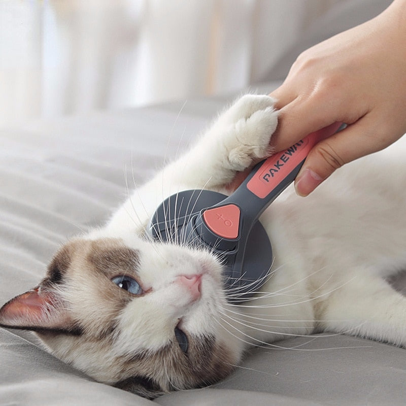 IKEO - Brosse toilettage démêlante et massante