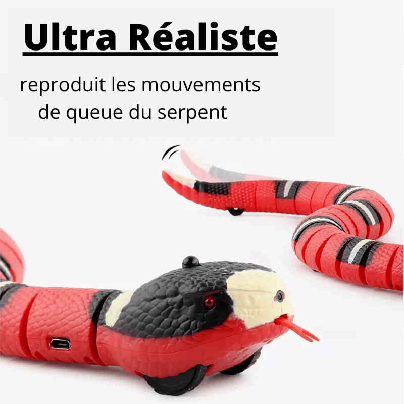 SAMI - Serpent à détection intelligente pour chat