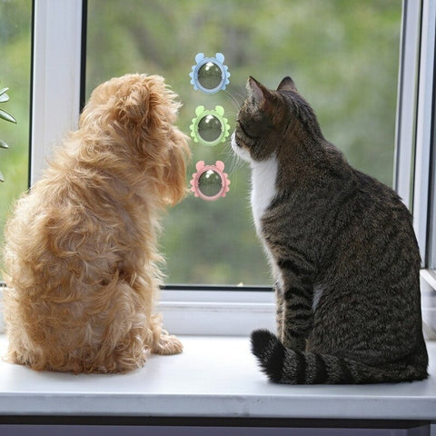 Jeux boule herbe à chat mural SENSE