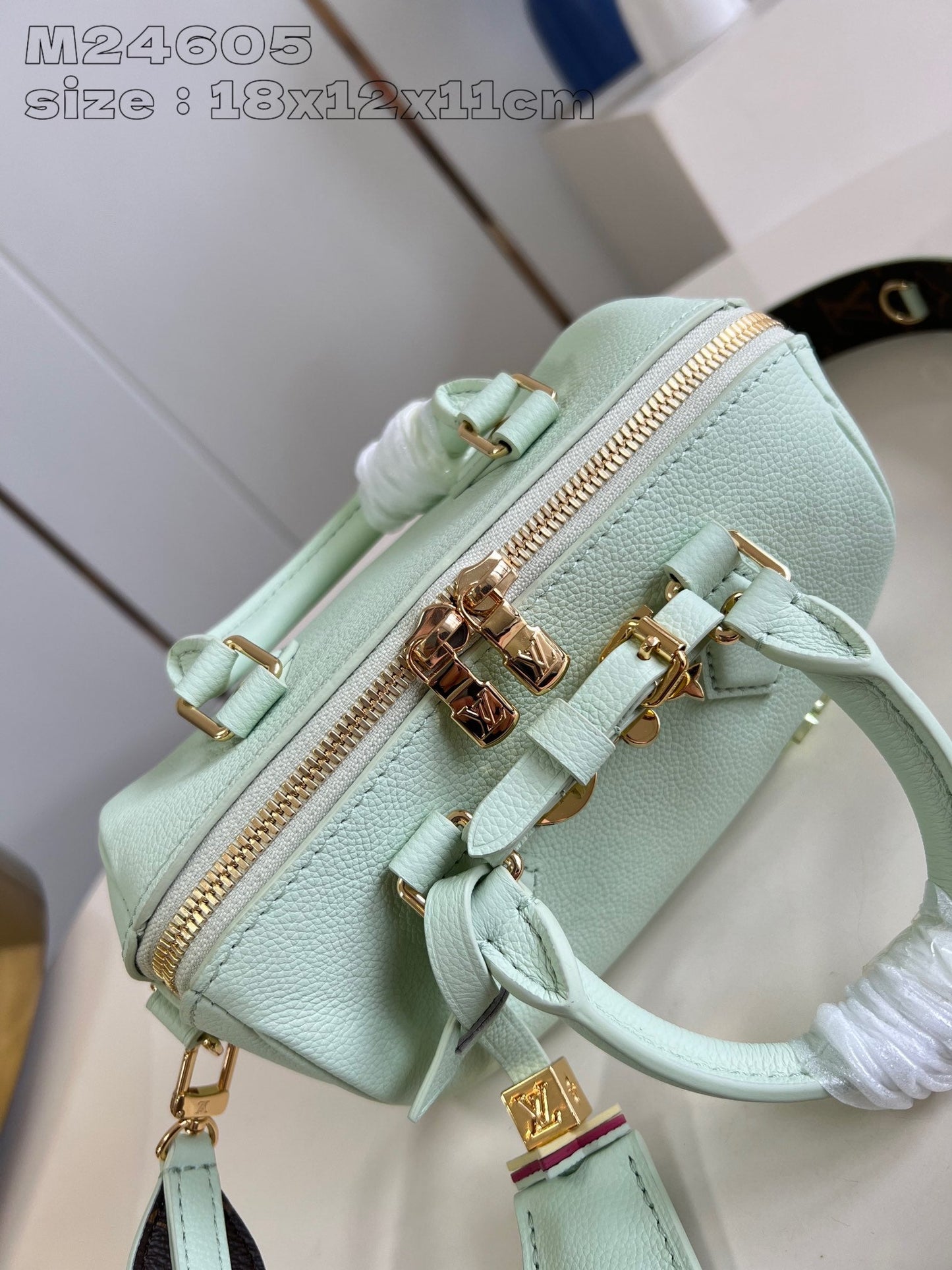 Speedy Bandouliere 18cm Pastel Green Calfskin