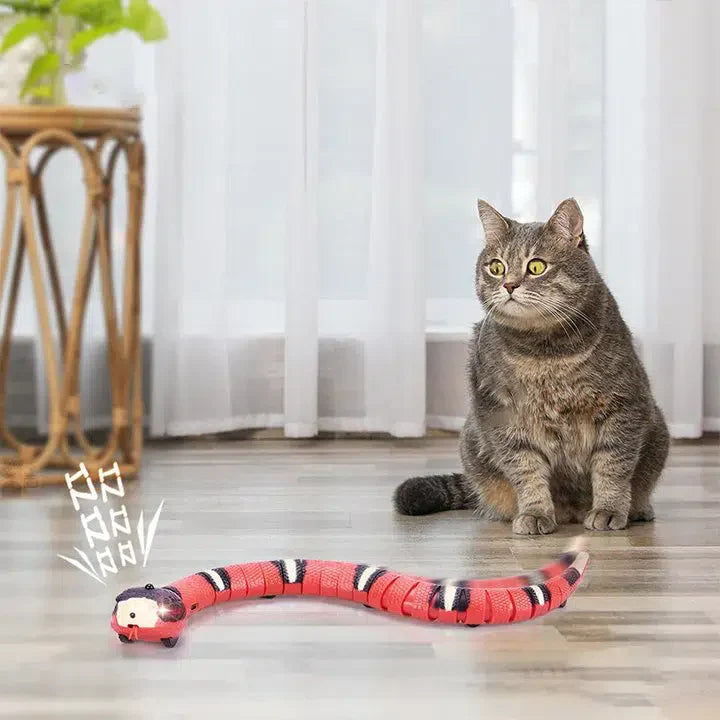 SAMI - Serpent à détection intelligente pour chat