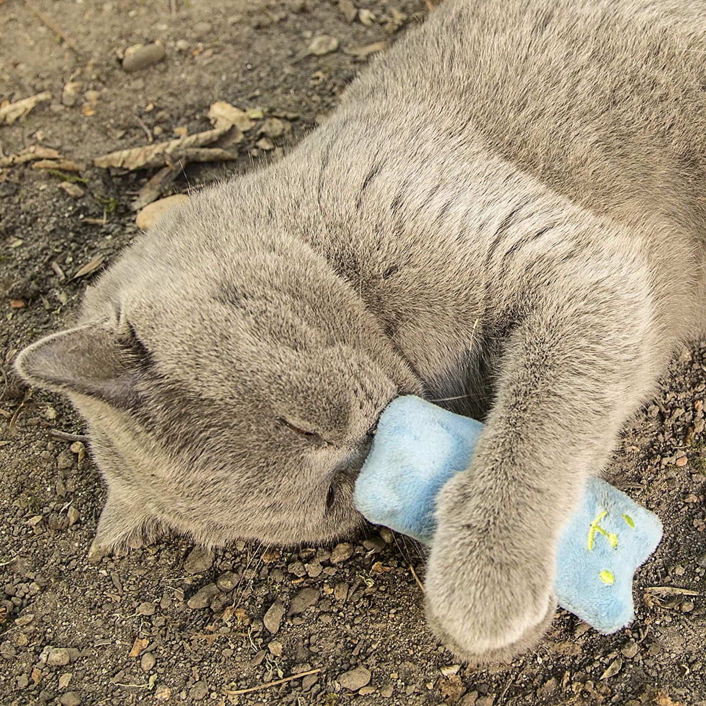 MINO - Peluche Herbe à Chat