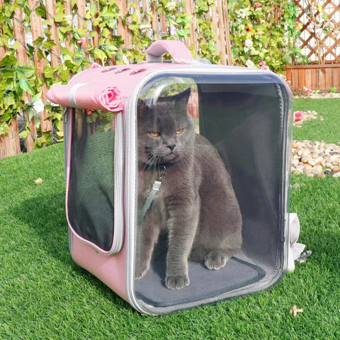 IGOO - Sac de transport transparent pour chat