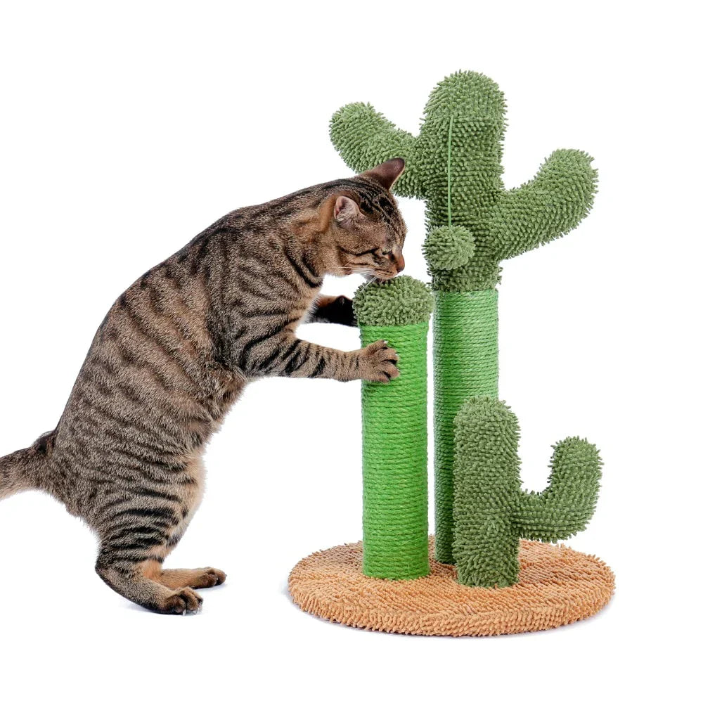 CAKT - Griffoir Cactus pour Chat